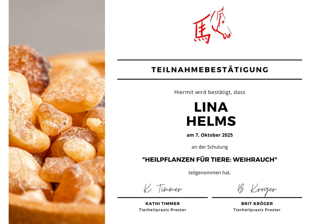 Lina Lemke-Ernaehrungsberaterin-fuer-hunde